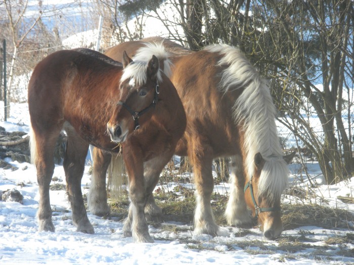 Photo de profil de ippie