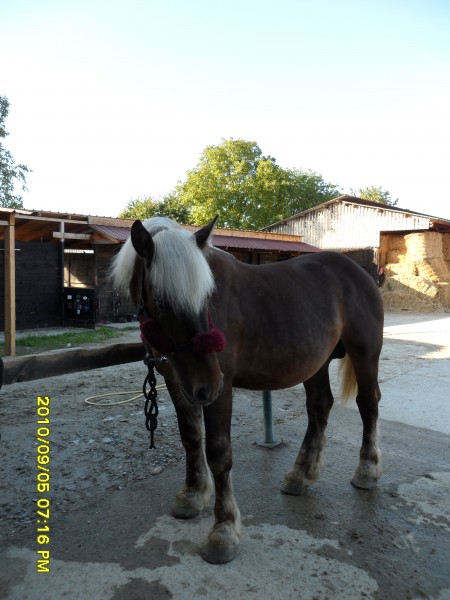 Photo de profil de sand.67