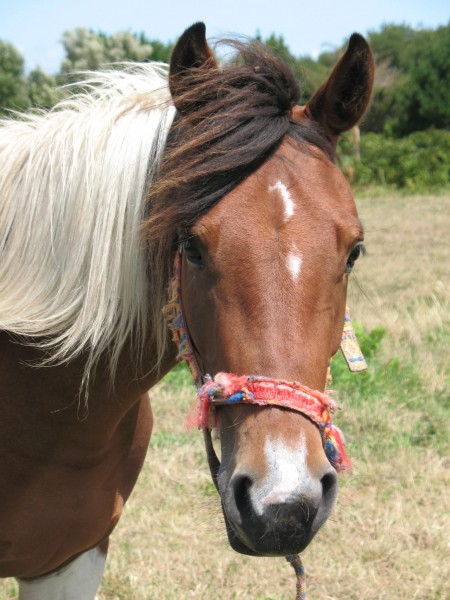 Photo de profil de sheilamarie