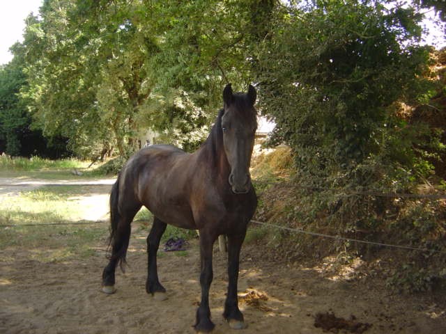 Photo de profil de patlacavale