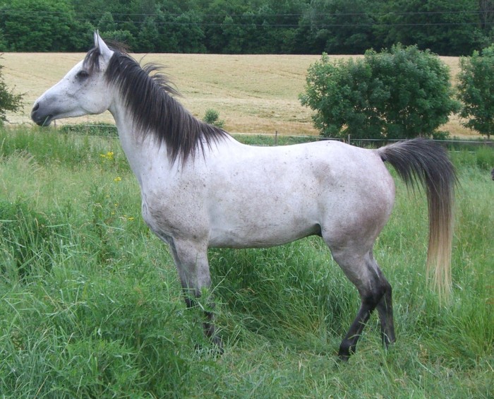 Photo de profil de quezia