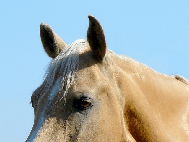Photo de profil de margaux.c