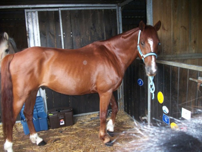 Photo de profil de amazone23