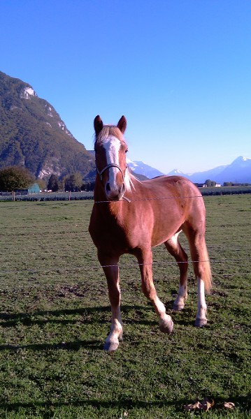 Photo de profil de nathch