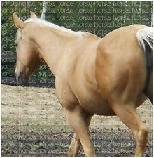 Photo de profil de sweetdestiiny