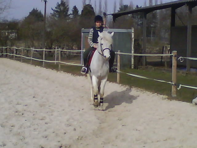 Photo de profil de antoiine