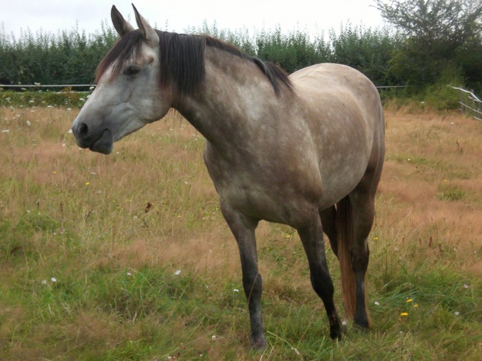 Photo de profil de mwa06