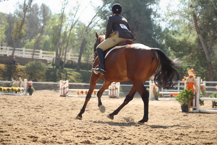 Photo de profil de tampons