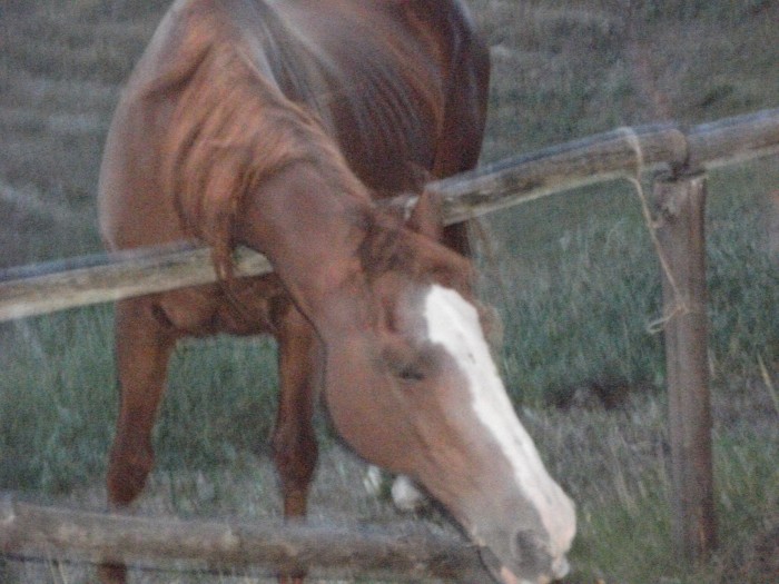 Photo de profil de esterelle