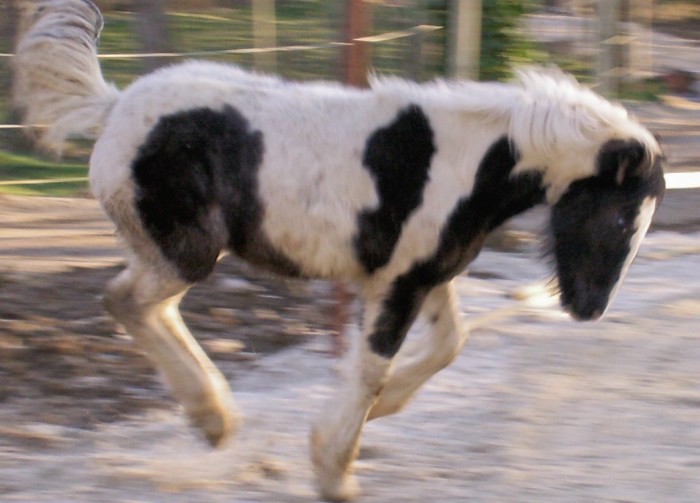 Photo de profil de kthy