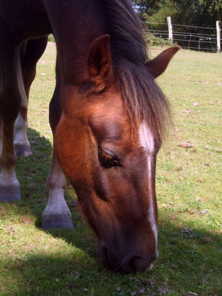 Photo de profil de automneetme