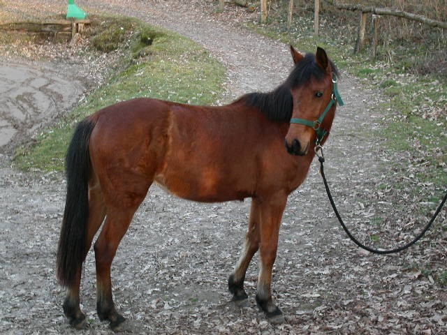 Photo de profil de puzzle78