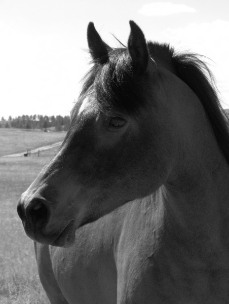 Photo de profil de ianna