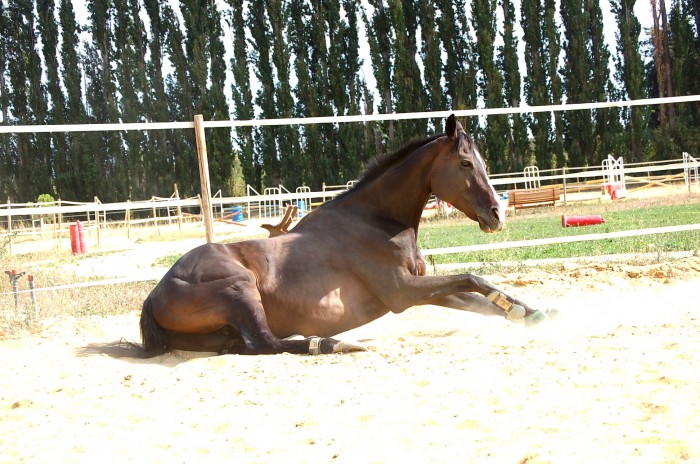 Photo de profil de mae84