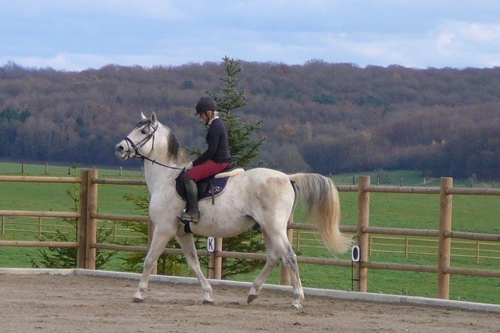 Photo de profil de harasodin