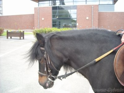 Photo de profil de calinette.21