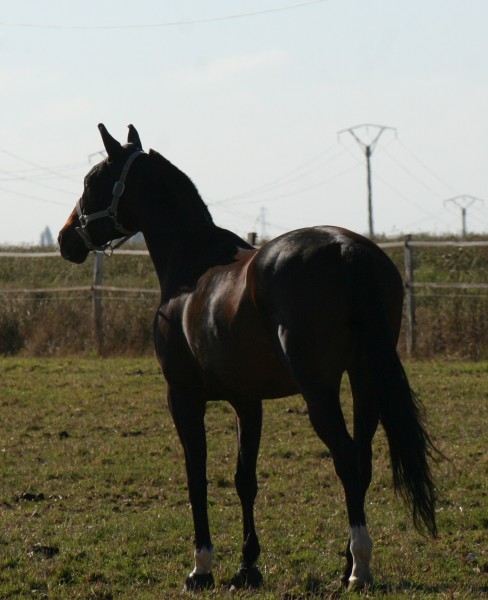 Photo de profil de galilee-et-co