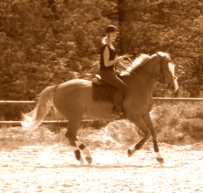 Photo de profil de quarte