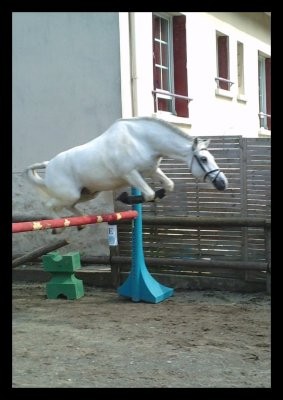 Photo de profil de annec95
