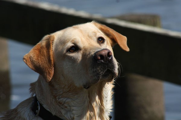 Photo de profil de anais3