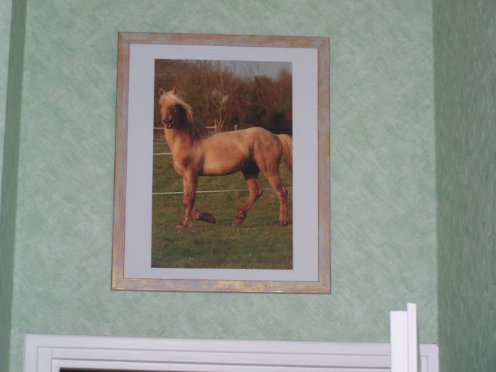 Photo de profil de ousado