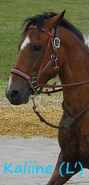 Photo de profil de carmeliia