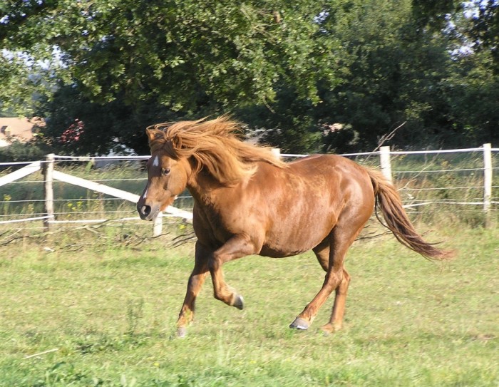 Photo de profil de maponette