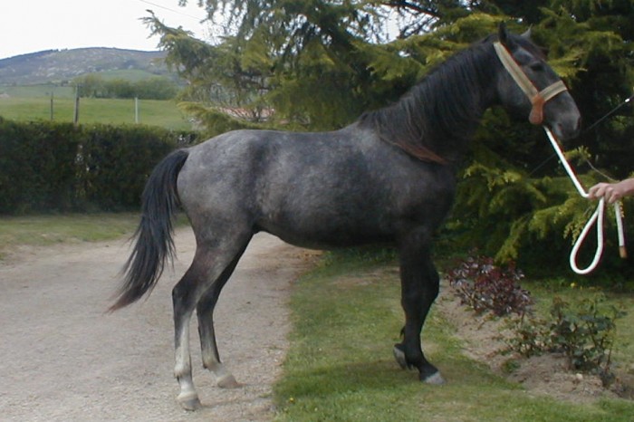 Photo de profil de marclusitano