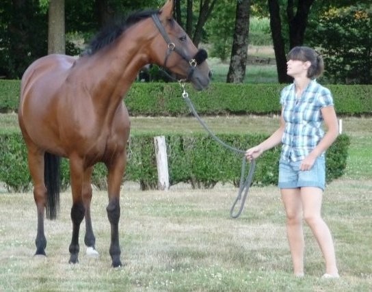 Photo de profil de ludivinemle