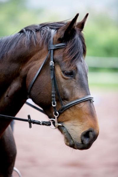 Photo de profil de pokpok