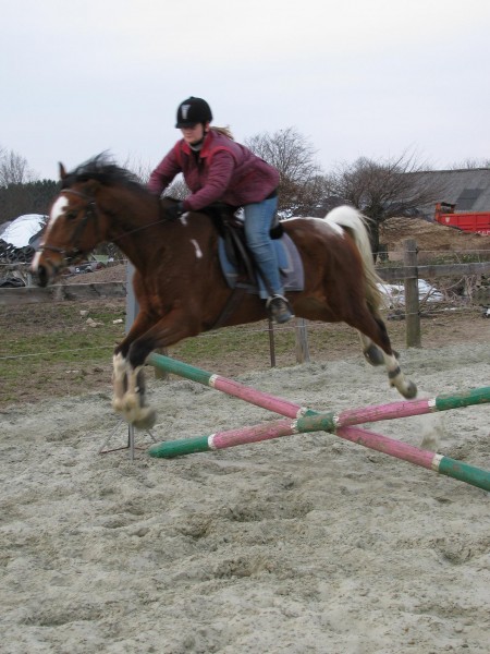 Photo de profil de western380