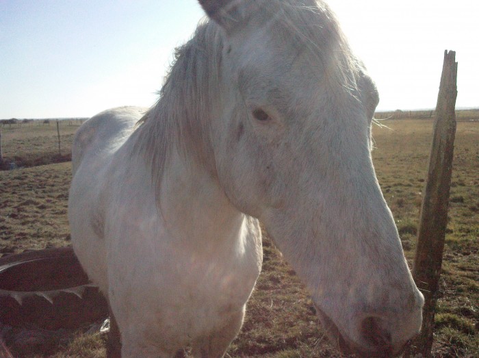 Photo de profil de dolce