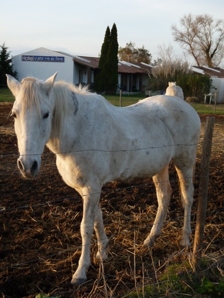 Photo de profil de cathamor