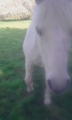 Photo de profil de opiumm