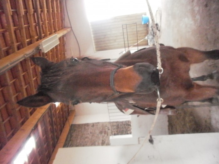 Photo de profil de lele.bibi