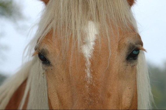 Photo de profil de flicka2