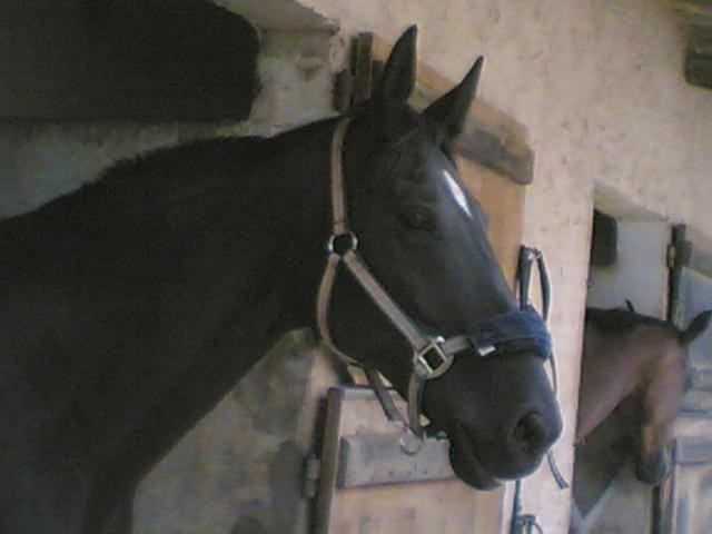 Photo de profil de louloute95