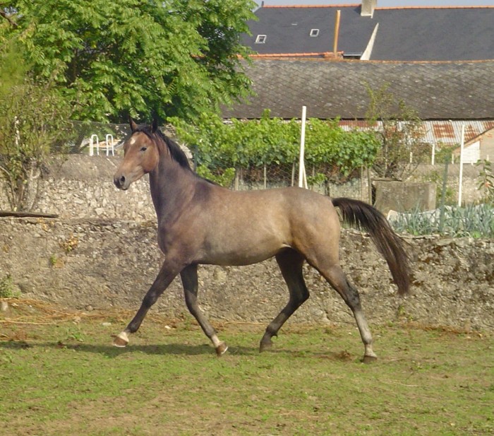 Photo de profil de sardinette