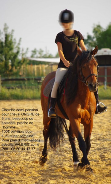 Photo de profil de vallon