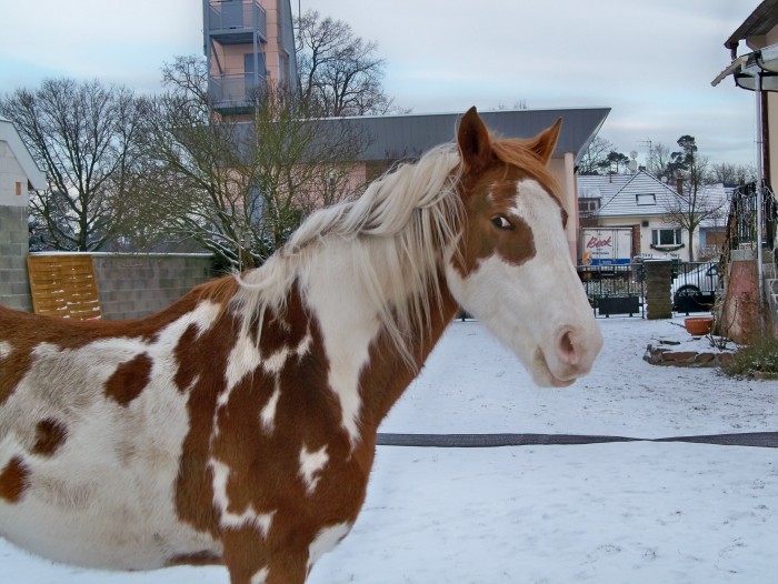 Photo de profil de kristellou