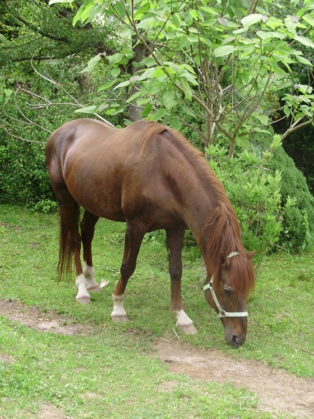 Photo de profil de bobox