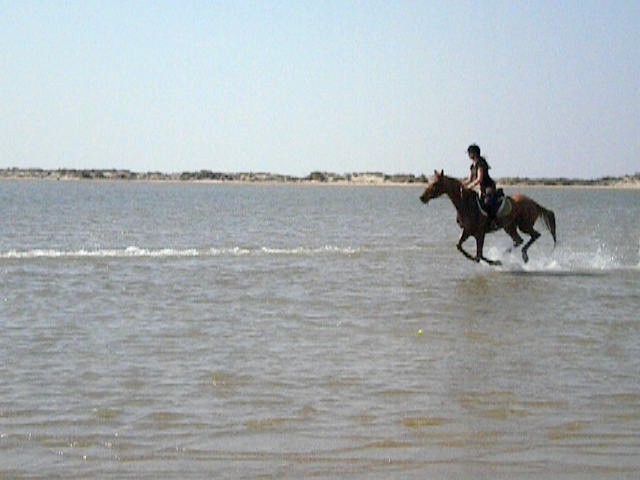 Photo de profil de bubulle84