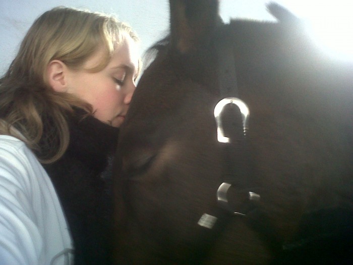 Photo de profil de liveforhorses