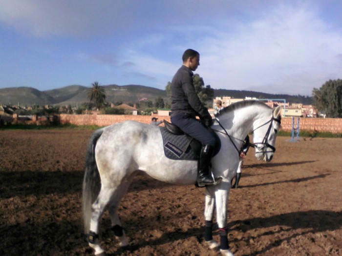 Photo de profil de mouhssine