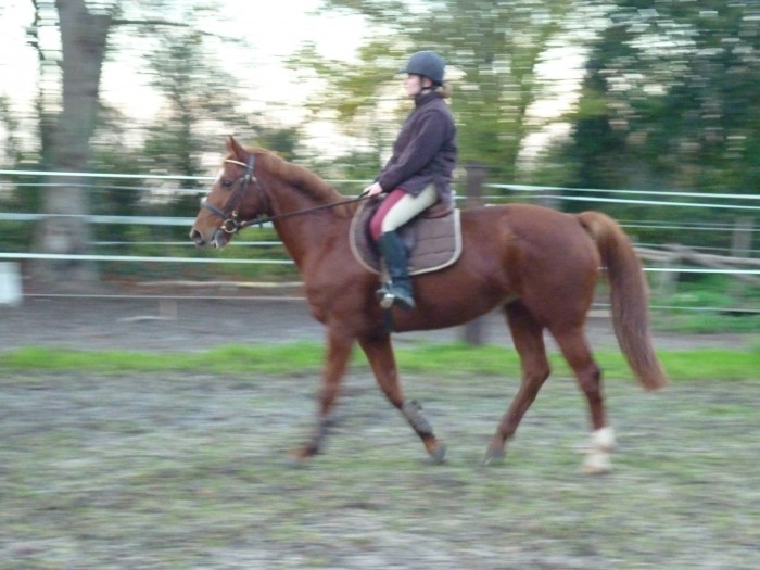 Photo de profil de desiris