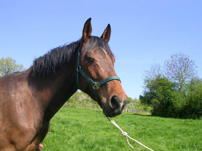 Photo de profil de thierryolive