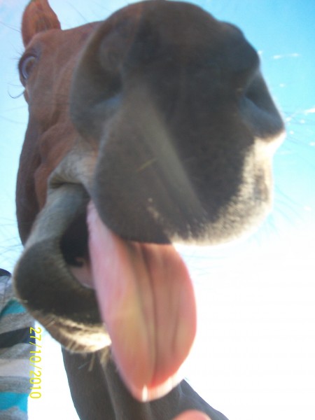 Photo de profil de indiansky