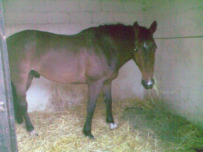 Photo de profil de jasminou