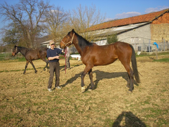 Photo de profil de pierre65