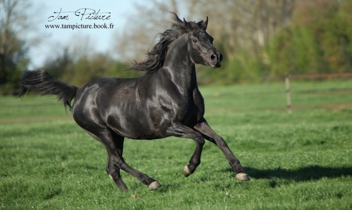 Photo de profil de frisons78